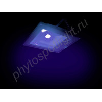Прожектор с ультрафиолетовым свечением "Киссин УФ" 50Вт