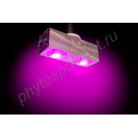 Агролампа для домашнего использования "Фекда" 60Вт (цоколь E14/E27/E40/GU10)